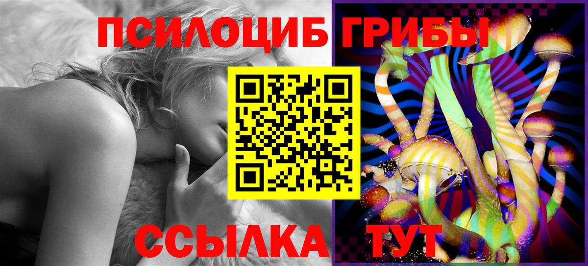 Псилоцибиновые грибы Psilocybe  купить наркоту  Артёмовский  Вход с VPN 